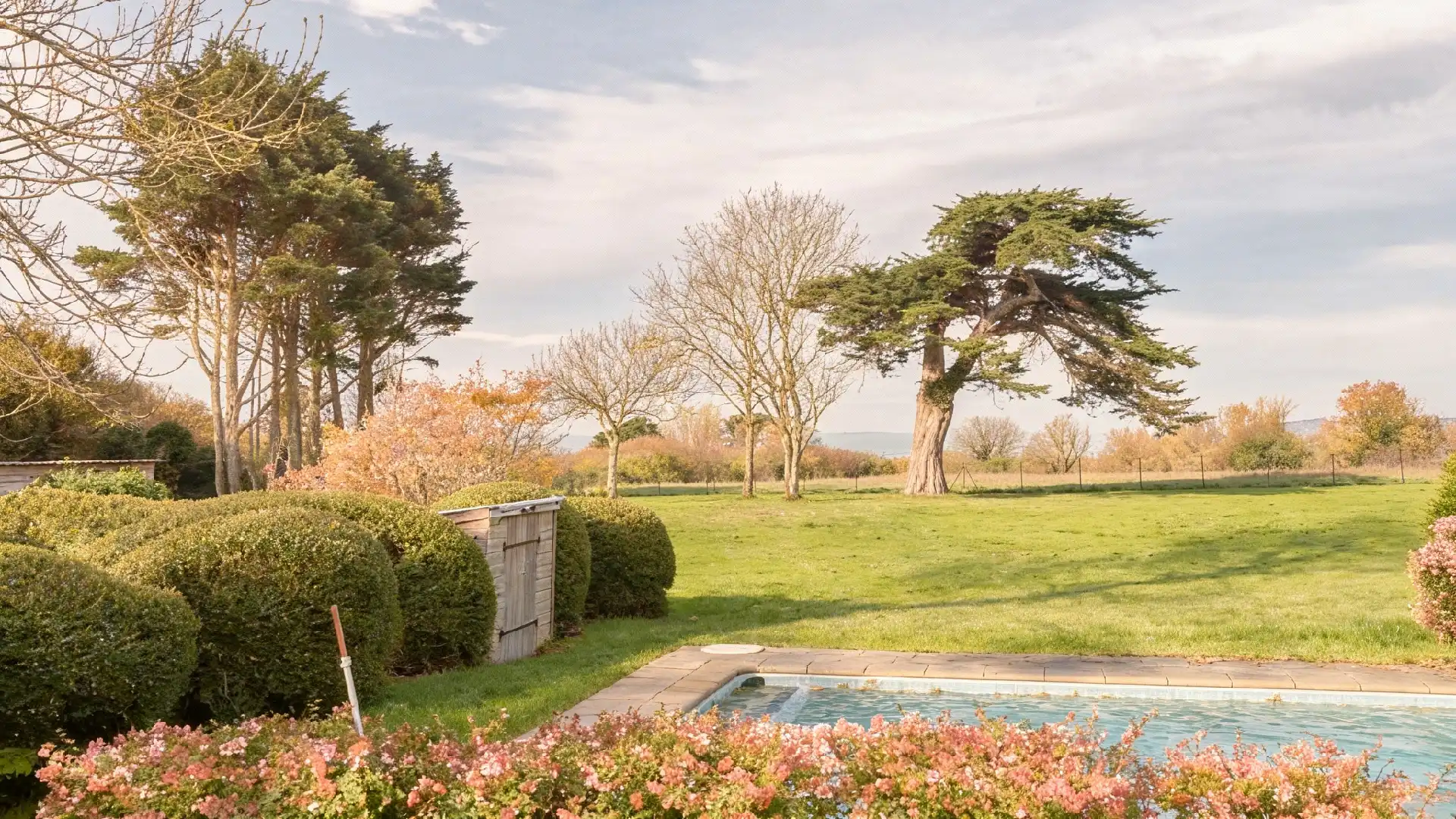 image de fond entretien de jardins