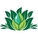 blb paysage logo sans texte